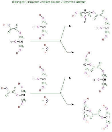 3 isomere Vollester der Oxalsäure(Ethandisäure) aus den 2 isomeren Halbester mit Glycerin res 2 zu 3.jpg