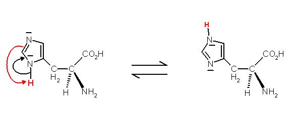 Histidin 2-Tautomere.JPG