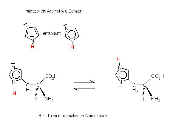 Imidazol-Aromat-Histidin-aromat. Aminosäure.JPG